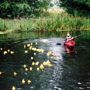 Festival of the River 2000