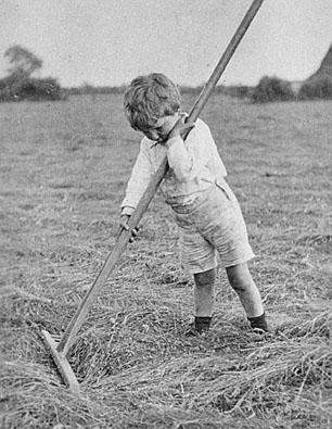 Mr Crooks at work in the fields.